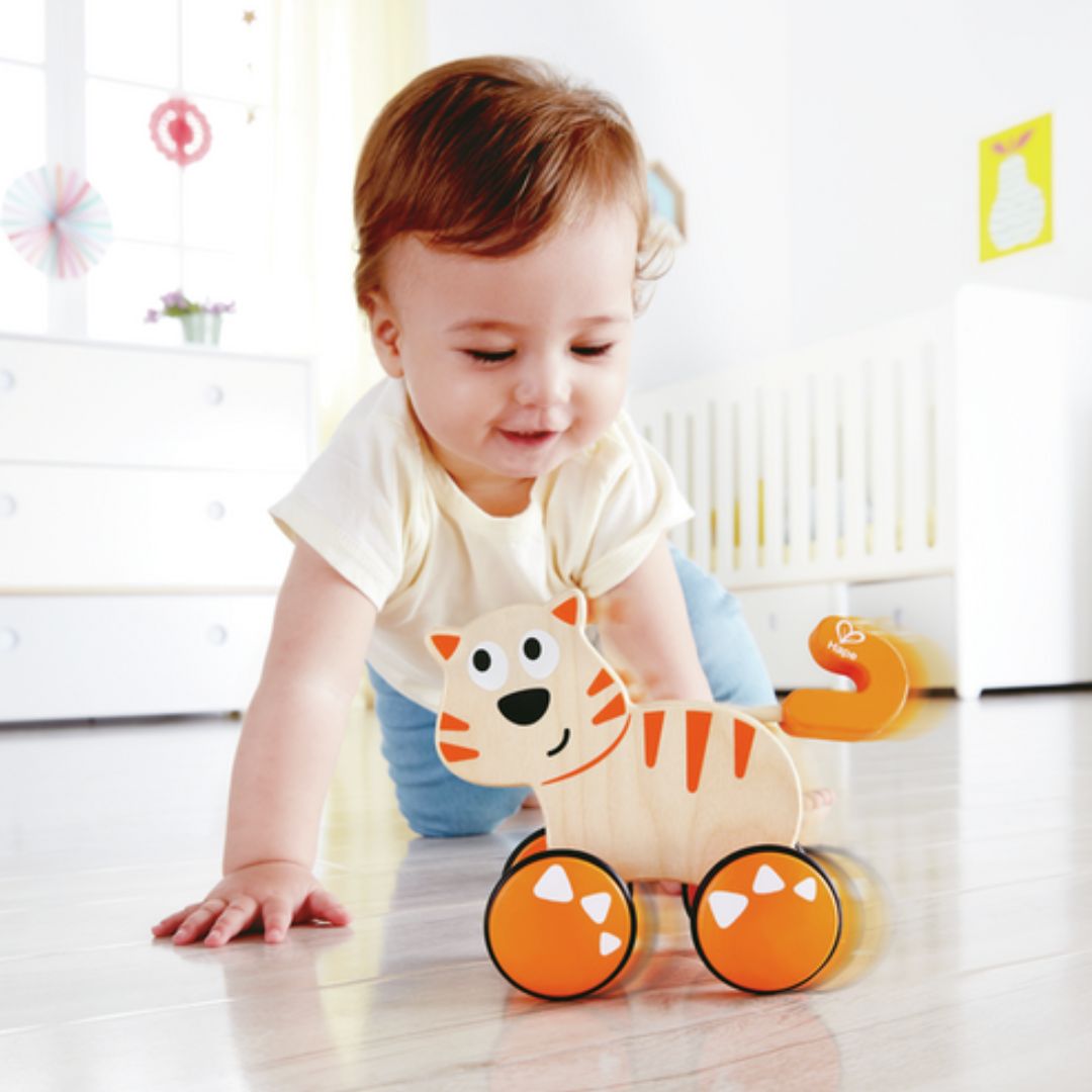 Rollkatze Dante Kleinkind Spielzeug